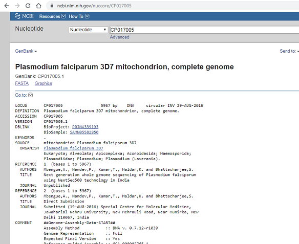 NCBI nucleotide