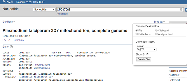 NCBI nucleotide